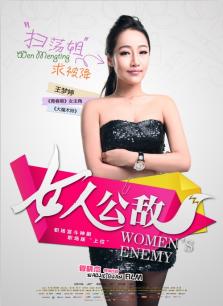 女人公敌