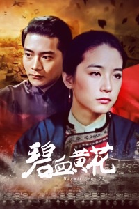 碧血黄花