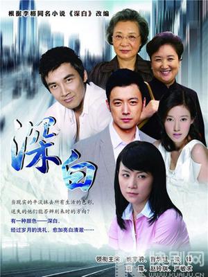 再婚进行时