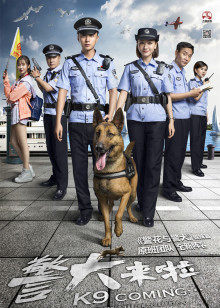 警犬来啦