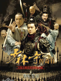 少林寺传奇之十三棍僧