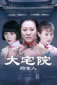 大宅院的女人