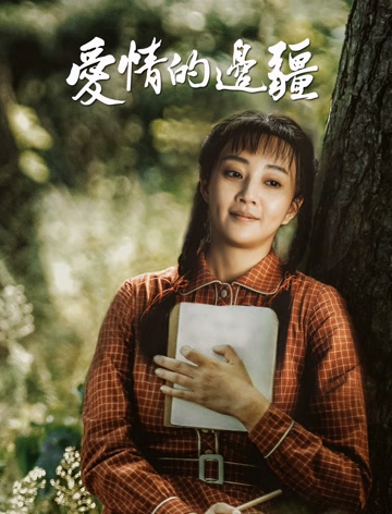 爱情的边疆dvd版