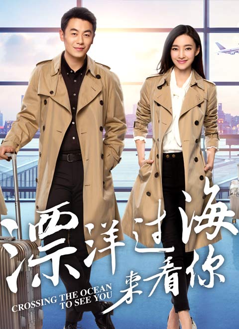 漂洋过海来看你（DVD版）