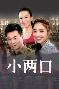 小两口 DVD版