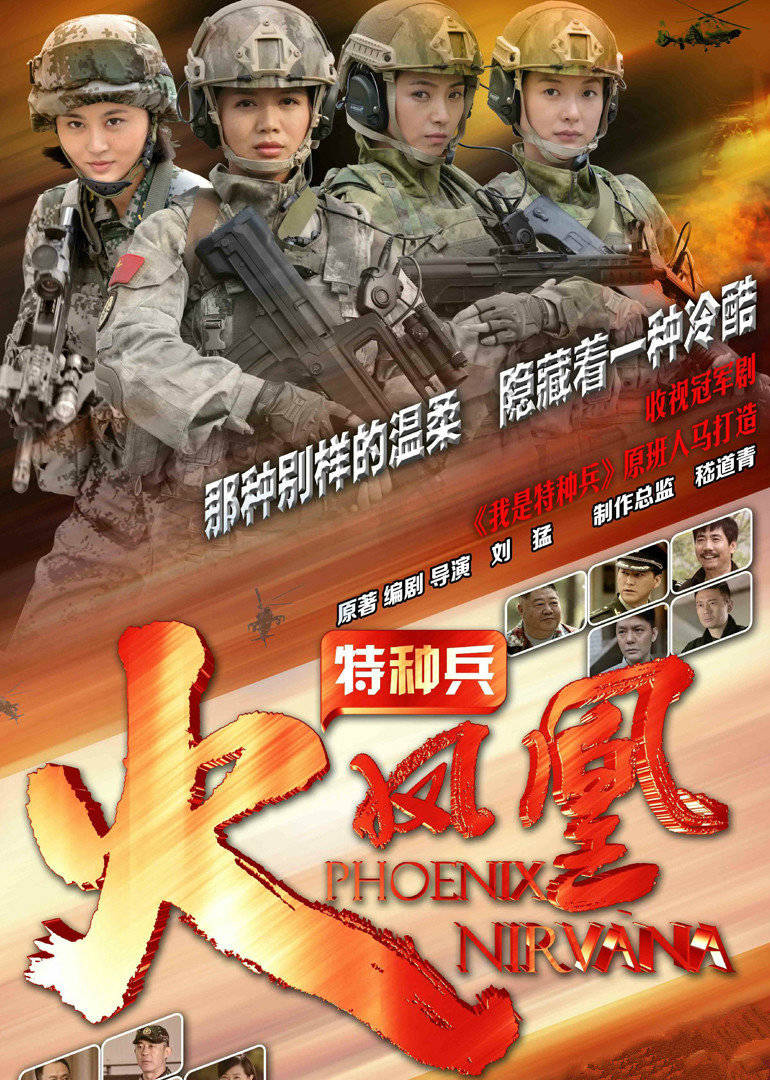 特种兵之火凤凰DVD版