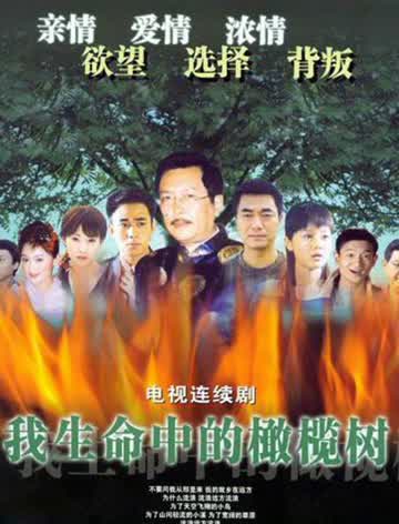 我生命中的橄榄树
