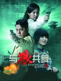 与狼共舞2DVD版