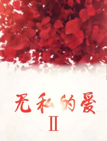 无私的爱2