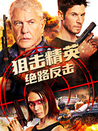 狙击精英：绝路反击