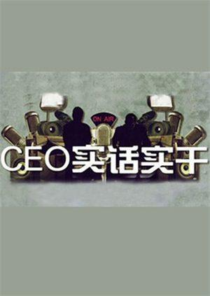 CEO实话实干 2011