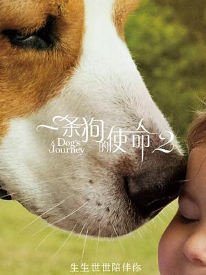 一条狗的使命2