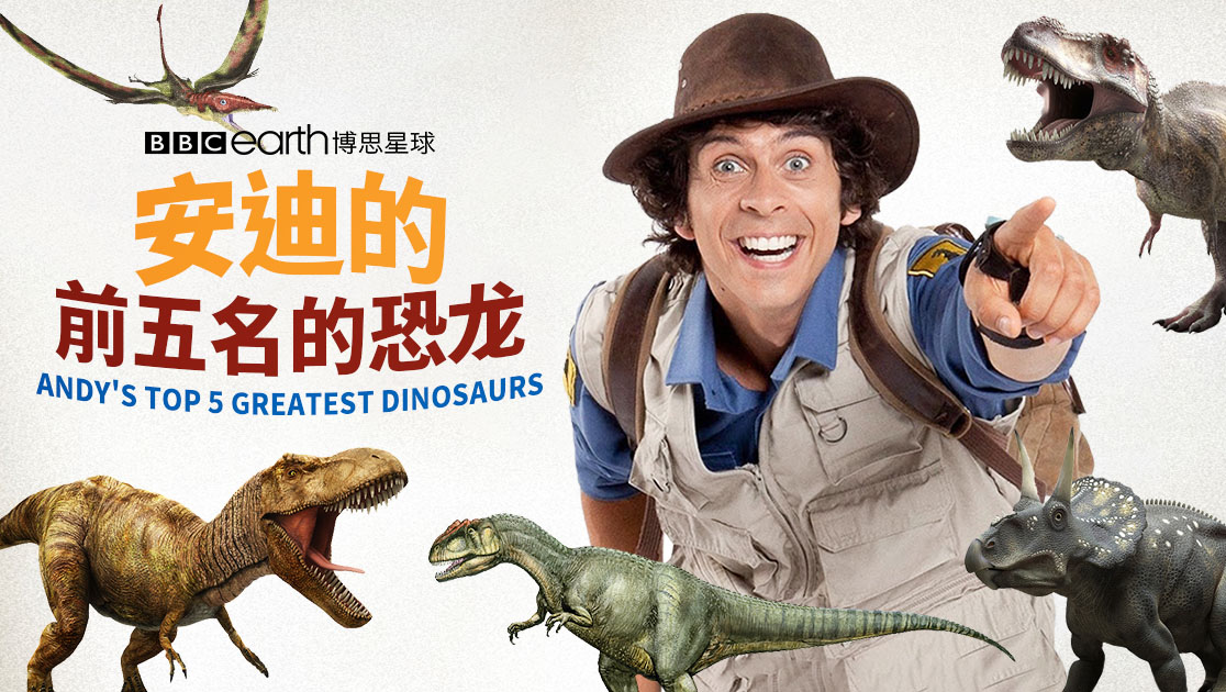 安迪的前五名的恐龙英语版