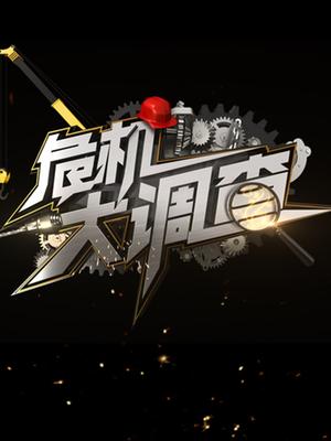 危机大调查
