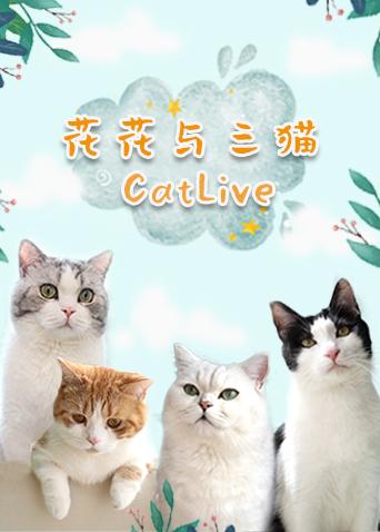 花花与三猫CatLive 2019