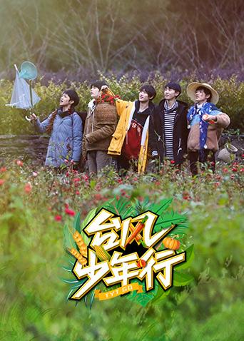 台风少年行
