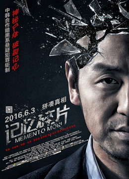 记忆碎片（2016）