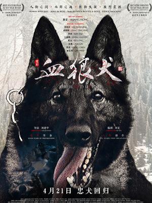 血狼犬