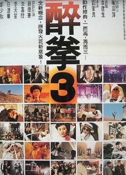 醉拳3（粤语）